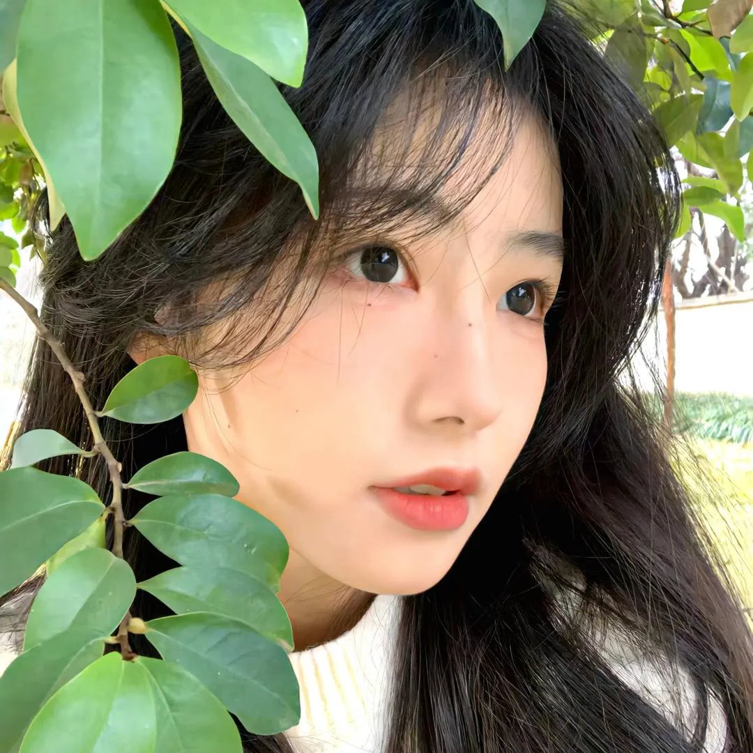 真爱至上国语